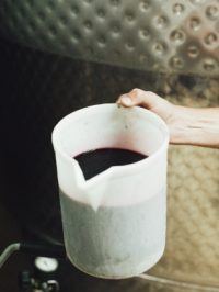Domaine de Brau