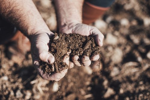 terres du domaine de brau